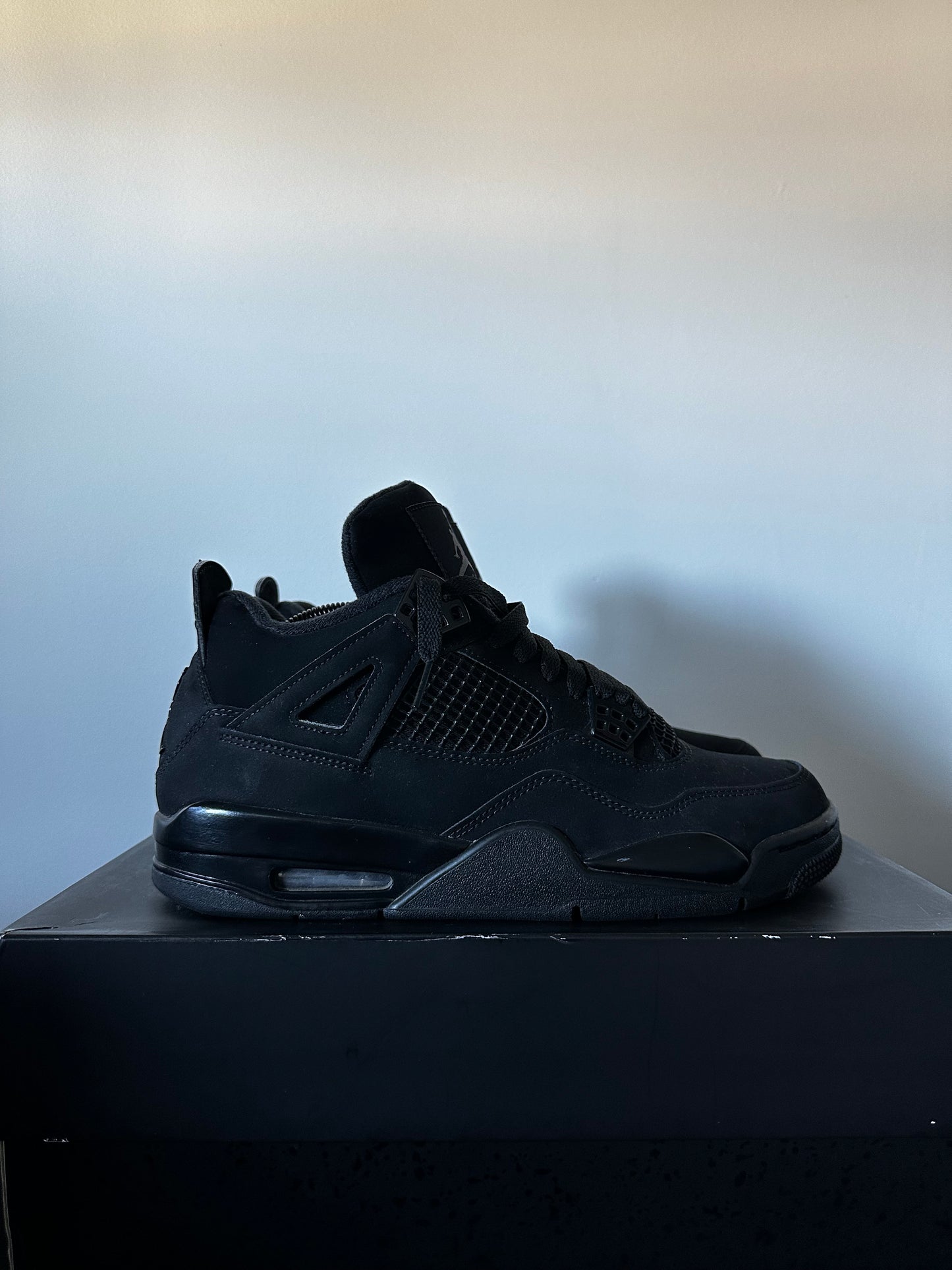 JORDAN 4 BLACK CAT (2020)