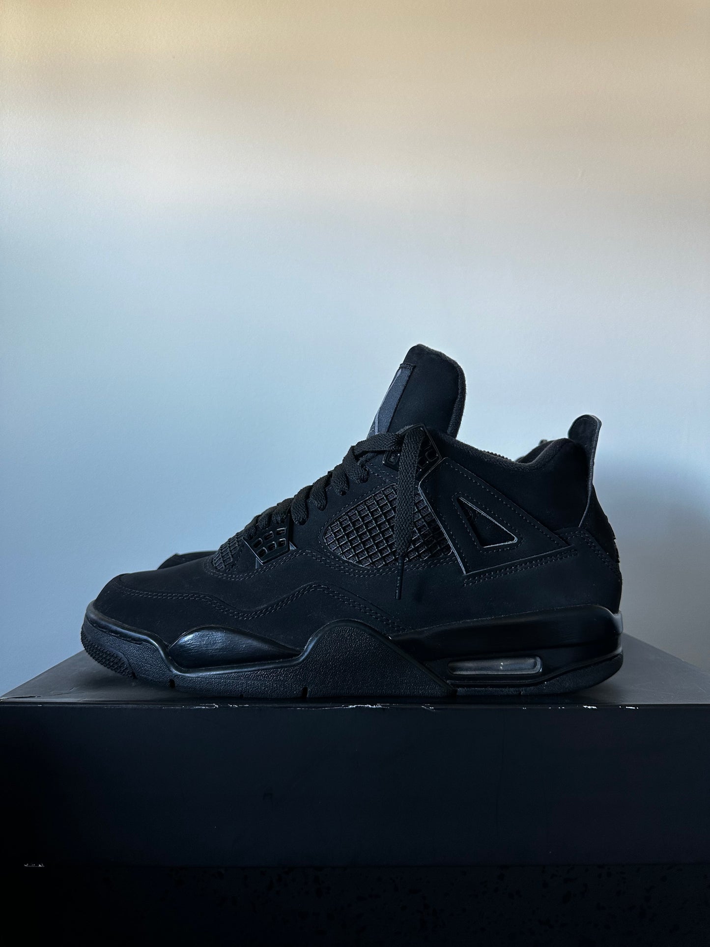 JORDAN 4 BLACK CAT (2020)